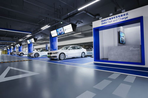 寶馬攜手國網電動汽車公司，深化技術開發戰略合作